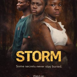 Rent STORM